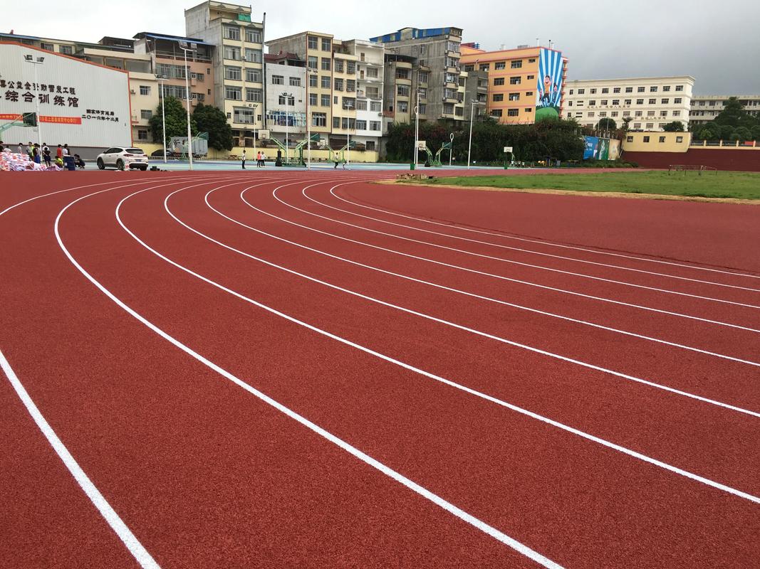 昆明市学校塑胶跑道塑胶跑道材料 - 厂家
